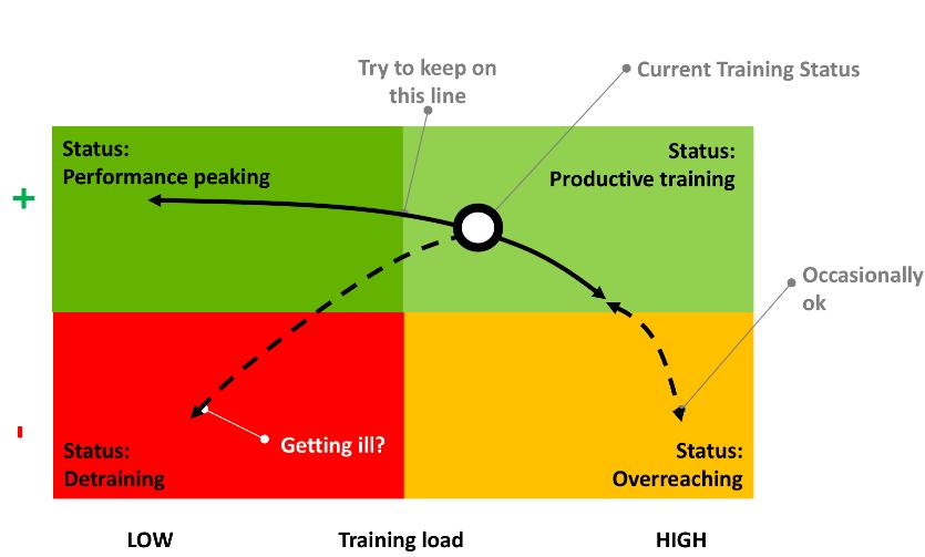 TRAINING STATUS BACKGROUND Ultimately, only measured changes in fitness level can tell if training is productive