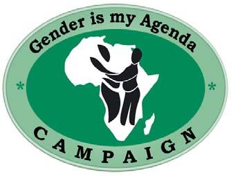 Implementation of the Solemn Declaration on Gender Equality in Africa