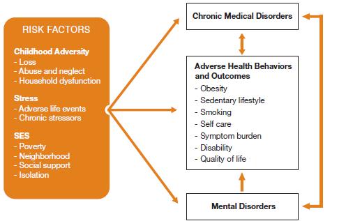 Why Wellness? Model of the Interaction Between Mental Disorders and Medical Illness Taken from Druss BG & Reisinger Walker E (2011). Mental disorders and medical comorbidity. Available online at www.