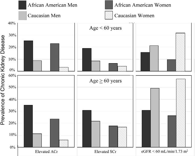 612 METHODS FOR IDENTIFYING CHRONIC KIDNEY DISEASE AJH June 2006 VOL. 19, NO. 6 FIG. 2. Prevalence of chronic kidney disease by three different definitions, stratified by age, sex, and ethnicity.