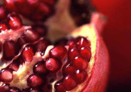 ABS POMEGRANATE