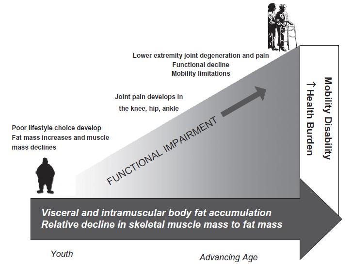 Obesity and sarcopenia can independently contribute to clinical and