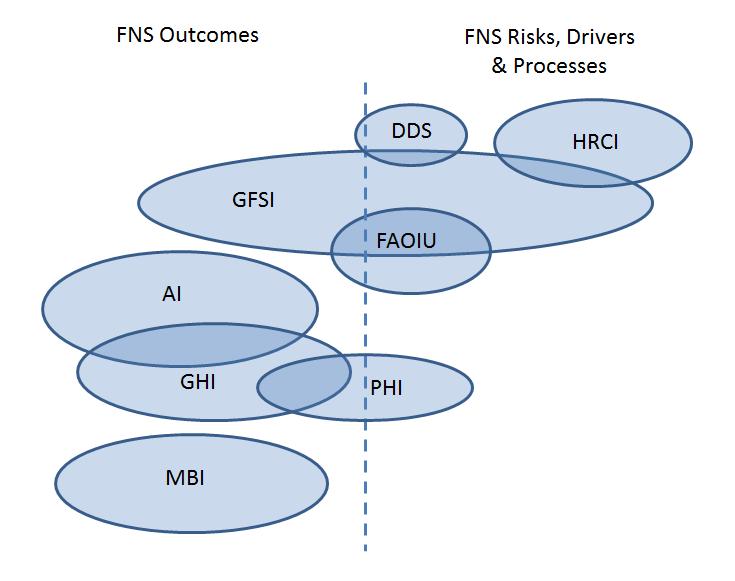 Existing Indicators Type of FNS Indicators (FIVIMS 2002, Maire and Delpeuch 2005): Indicators to measure FNS outcomes Indicators to measure FNS drivers and risks