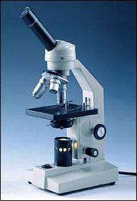 Compound light microscopes use a series of lenses to magnify objects