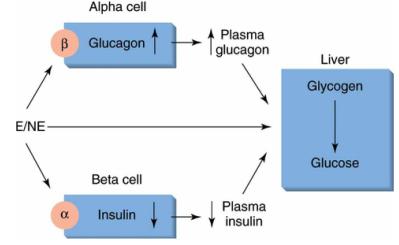 glucose CANNOT be the stimulus of change of Insulin and Glucagon SO