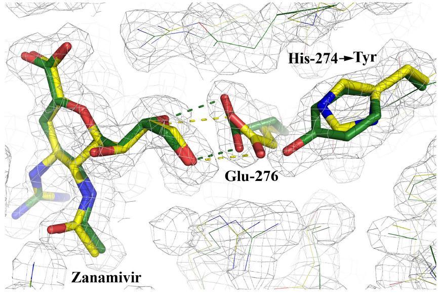 zanamivir Reduction in binding affinity: ~300 fold Reduction in