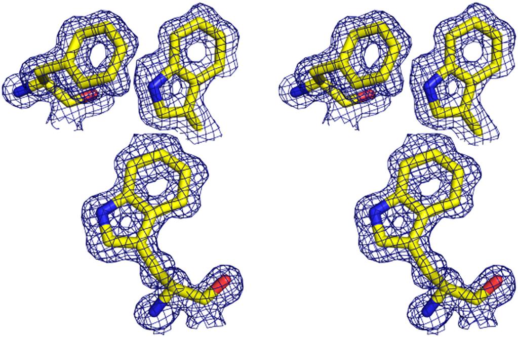 496 Crystal Structures of Alpha-11 Giardin Figure 2. Stereo image of the 2F o F c electron density contoured at 1.0σ after phase extension and refinement to 1.1 Å.