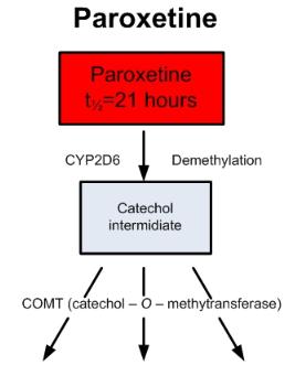 Paroxetine Plasma Levels by Dose Metabolites Ueda M, et al.