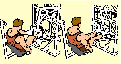 2) Alternated Dip Stand Leg Raise Lower Abdominals 3) Seated Medium Stance Leg Press on Machine Thighs Adjust seat so upper thighs are nearly vertical to floor in contracted