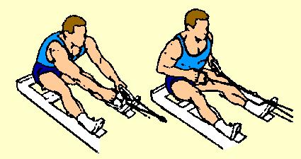 12) Seated Two Arm Low Lat Pull In Lower Lats and Upper Back Sit on floor in front of low pulley. Place feet against object for support. Hold low pulley handles.