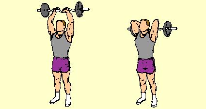 Stand erect, head up, feet 16" apart. Raise bar overhead to arms' length. Lower bar behind head in semicircular motion until forearms touch biceps. Keep upper arms close to head.
