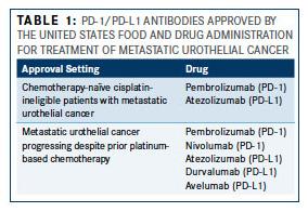 FDA approved PD1/PDL1 targeted immunotherapy in bladder cancer Drug Target Approval Pemborlizumomab PD1