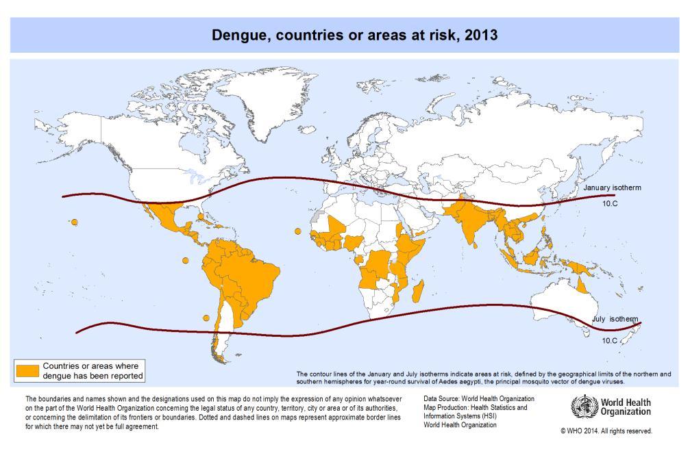 Dengue is both an established disease and an emerging/re-emerging disease in many countries According to the WHO 2.