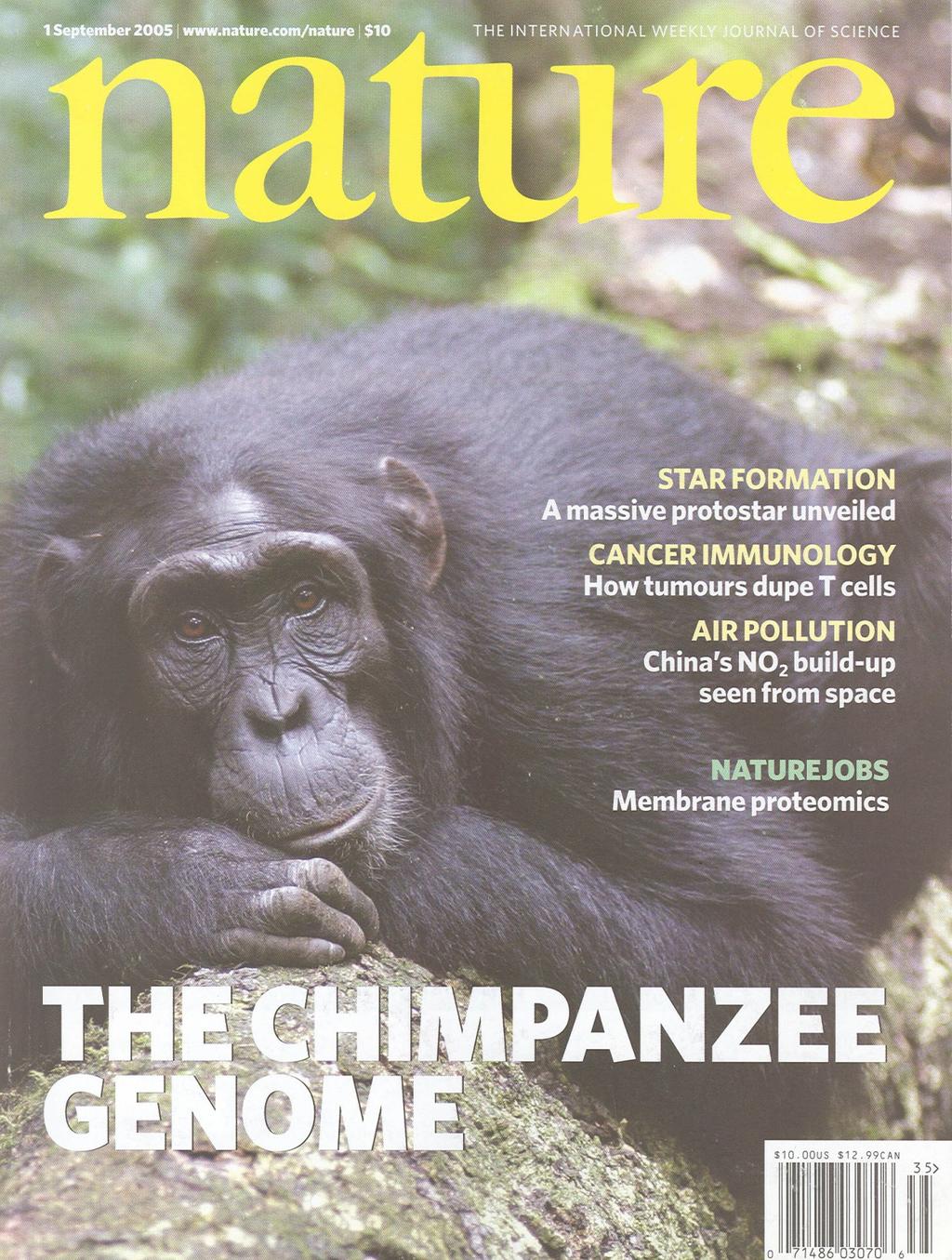 What about humans and chimpanzees? We differ by around 35,000,000 nucleotide substitutions. Given 3x10 9 base pairs per haploid genome, that s roughly 1/86 base pairs, or K 0.012 per site.