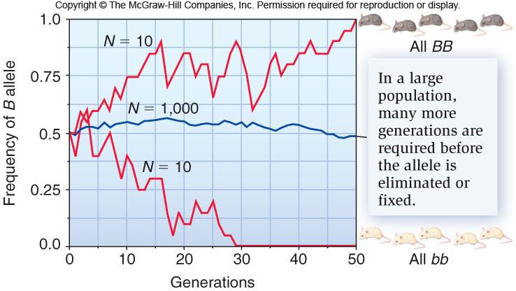 Heterozygosity: frequency of heterozygotes in a population (% of heterozygotes) Often used as an estimate of genetic variation in a population HW expected