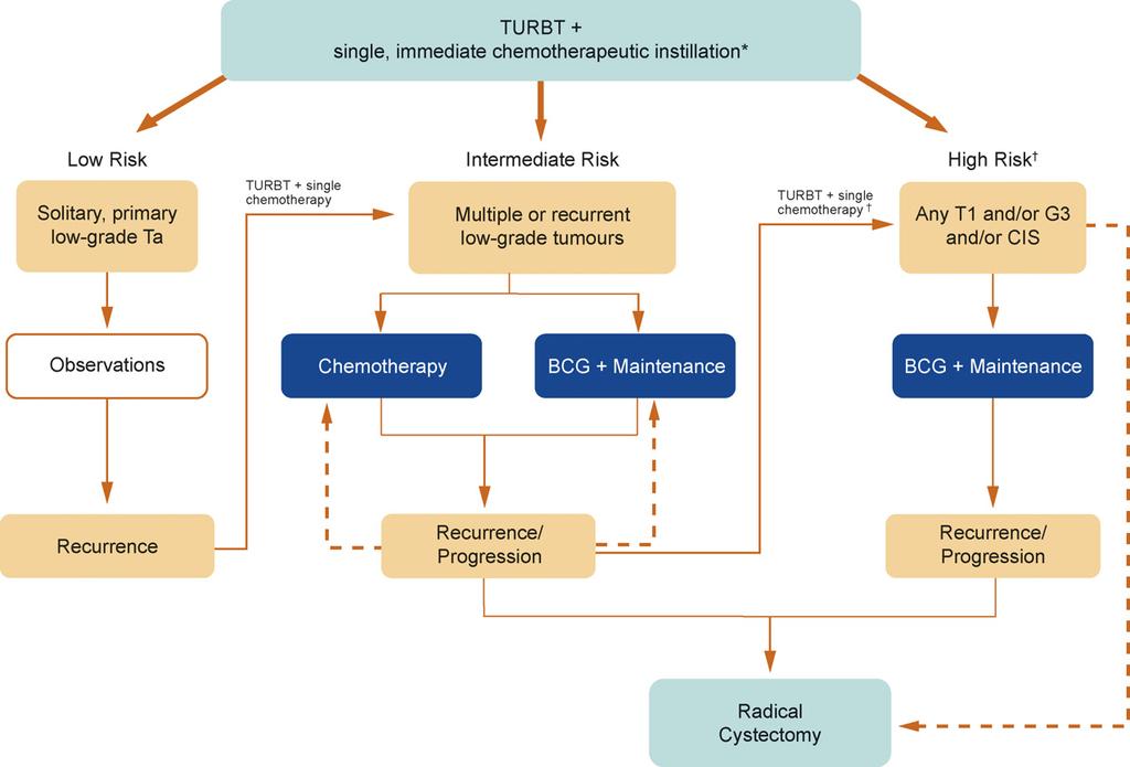 european urology supplements 7 (2008) 651 666 653 Fig. 1 Algorithm for the treatment and management of primary non muscle invasive bladder cancer proposed by the International Bladder Cancer Group.