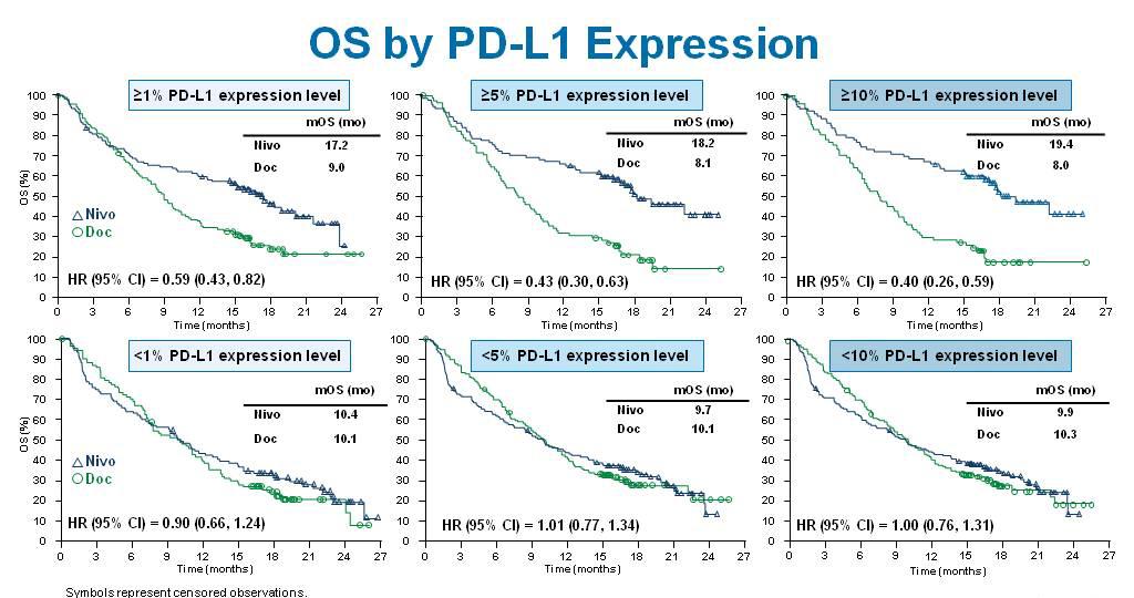 Should We Be Selecting Nonsquamous Patients for Nivolumab Based on PD-L1