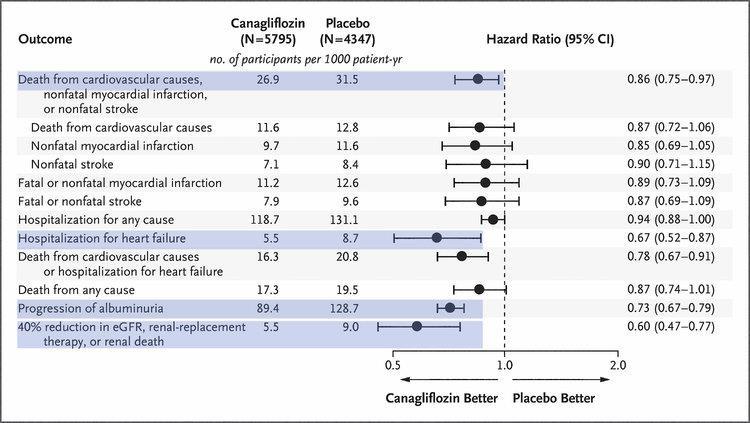 Cardiovascular Outcomes in