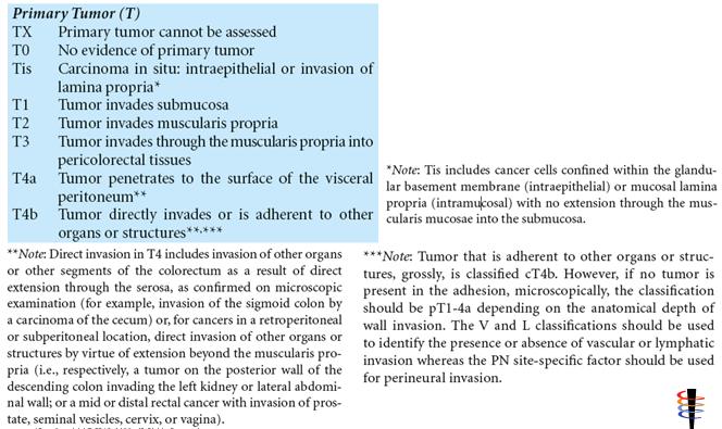 T Category TX is correctly assigned for many cases Colonoscopy does not provide tissue layer involvement Potential direct involvement of other organs or structures ct4b: imaging shows adherent to