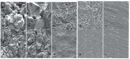 High (top) and low (bottom) magnification of cpti surfaces as used for surface characterization.