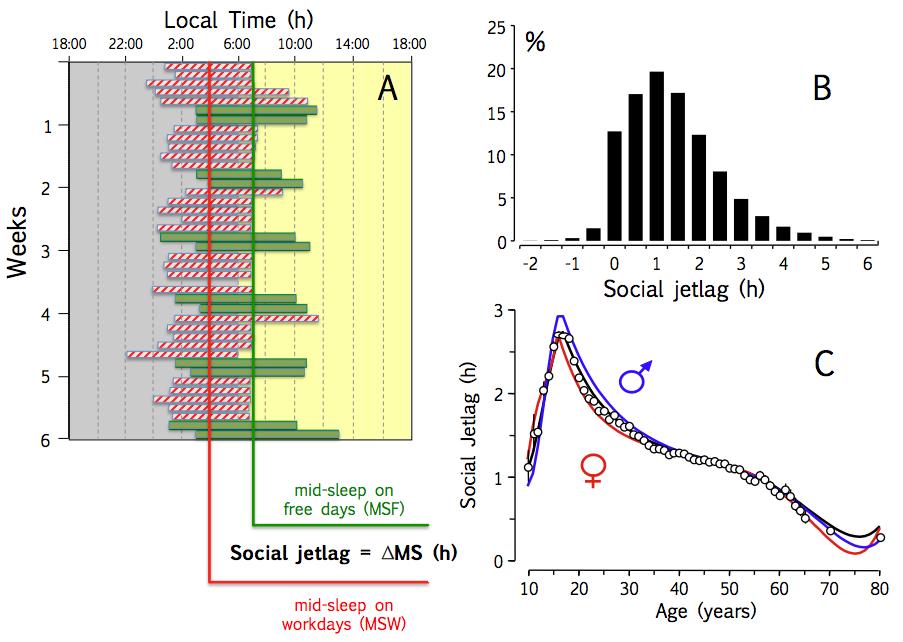 Figure S1. Social Jetlag (A) Six-week long sleep-log of an extremely late chronotype (MSF 7), exemplifying the typical scalloping between sleep time on workdays and on free days (e.g., weekends).