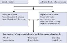 Etiology of Borderline personality disorder Current view is that one can inherit the predisposing temperament for borderline personality disorder, not the illness itself Most modern theorists agree