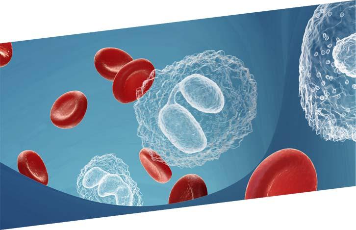 Literature List White Blood Cells Customer Information February 2018 Date: February 2018 Subject: Literature List White Blood Cells Issued by: Scientific Customer Services Number: