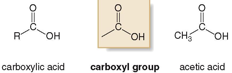 Structure and Bonding Carboxylic acids are organic compounds containing a COOH