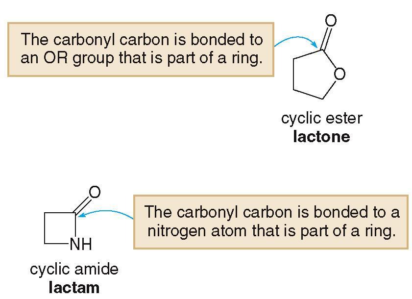 Structure and Bonding A cyclic ester is