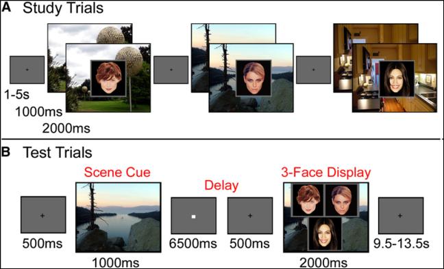 Hippocampal activity predicts implicit relational memory, 14 despite failure in