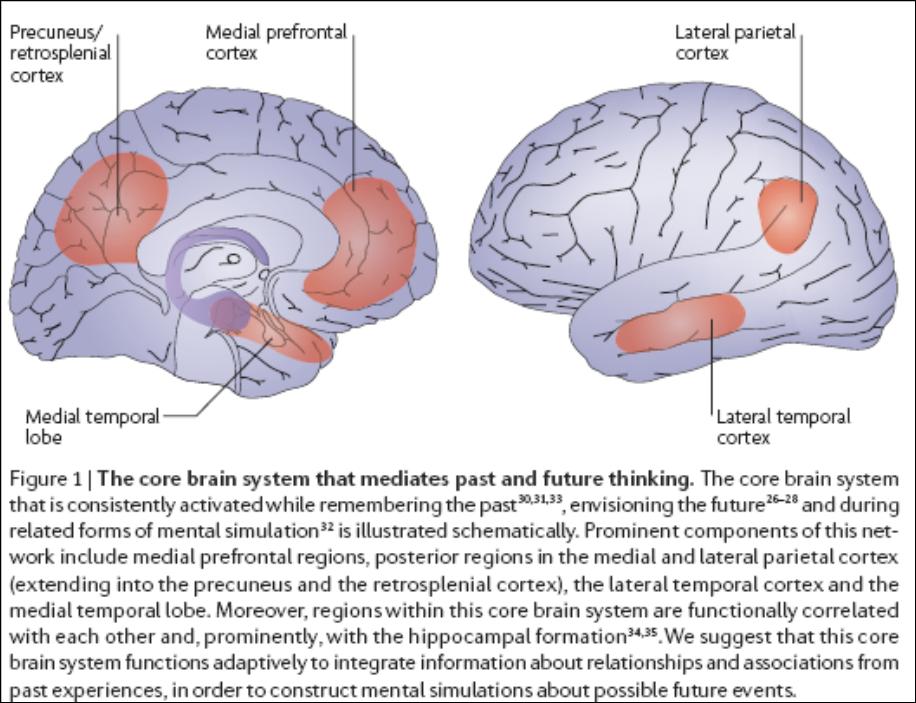 15 Brain network involved in conscious memory Schacter et al (2007) Nature Rev.
