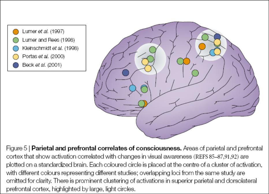 Functional-imaging correlates of visual consciousness 8 Fronto-parietal substrates Activity in visual association (extrastriate) cortex also correlates well with aspects of visual consciousness,