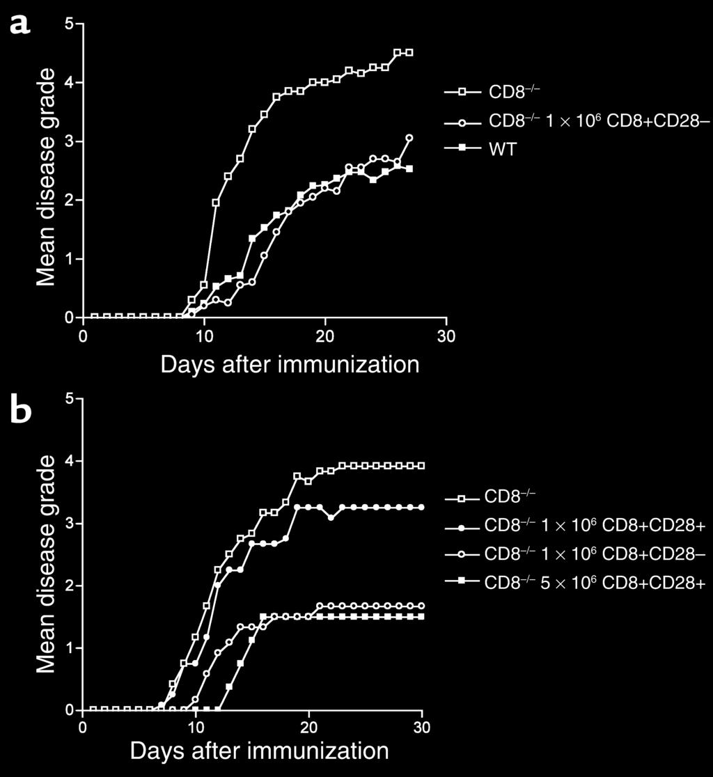 Figure 4 Suppression of EAE by adoptive transfer of CD8+CD28 cells into CD8 / mice.