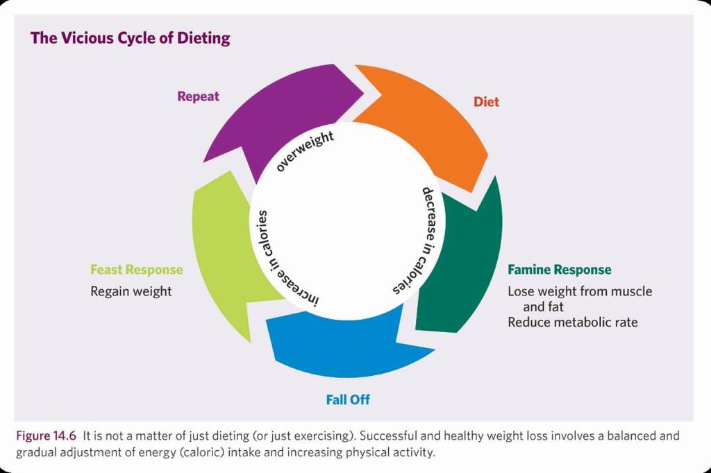 The Vicious Cycle of Dieting 2015
