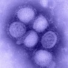 Influenza virus Influenza or 'flu' is an acute respiratory illness caused by infection with influenza viruses.
