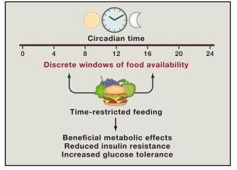 Time Restricted Feeding