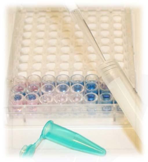 Analytical Methods Quantitative Methods: Enzyme Linked Immunosorbent Assay (ELISA) Polymerase Chain Reaction (PCR) Mass Spec Methods
