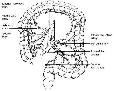Rectosigmoid: perirectal, left colic, sigmoid mesenteric, sigmoidal, inferior mesenteric, superior rectal, middle rectal Rectum: perirectal, sigmoid mesenteric, inferior mesenteric, lateral sacral,