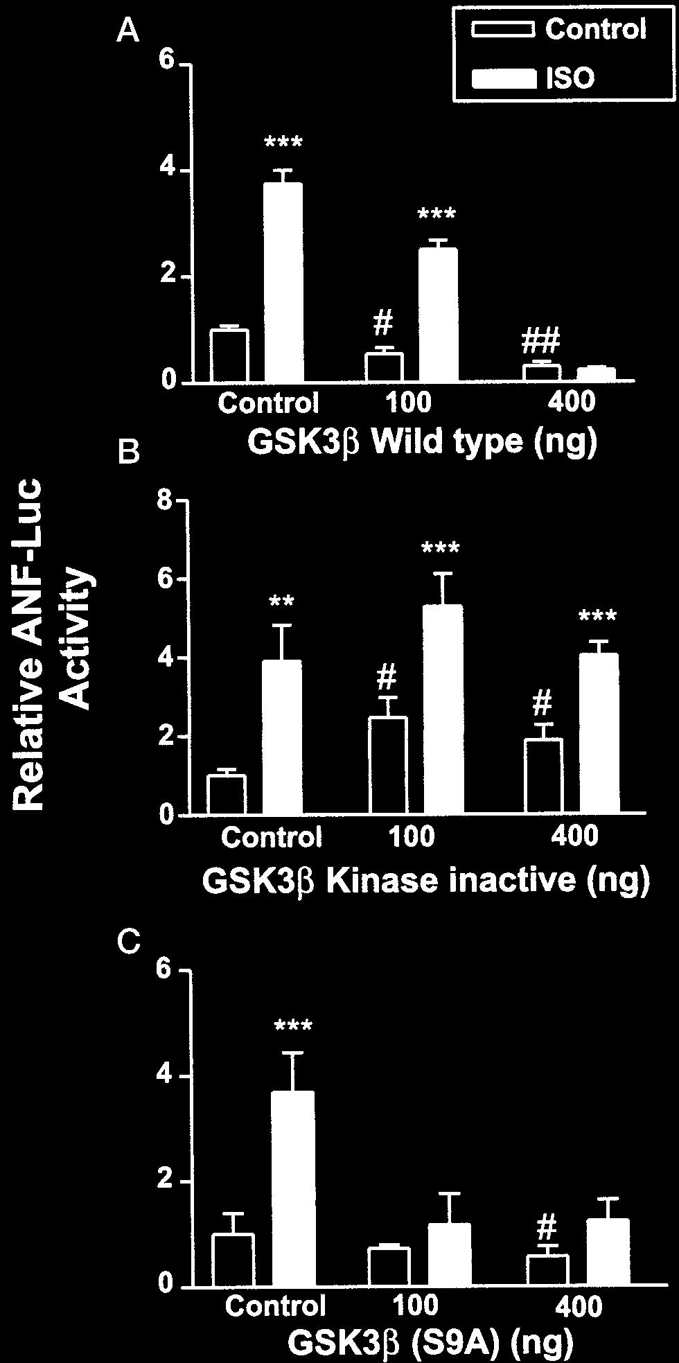 Phosphorylation of GSK3 was determined by the Western blot analysis using anti-phospho-ser-9 GSK3 antibody (bottom panel). Filters were stripped and reprobed with anti-gsk3 antibody (top panel).
