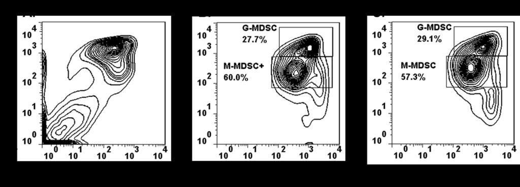 Figure 25. PFKFB3 inhibition does not change phenotype of BM-MDSCs.