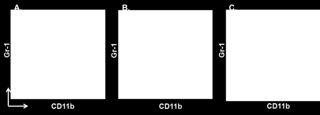 Representative contour plots of (A) fresh bone marrow cells (B) BM-MDSCs (C) BM-MDSCs following