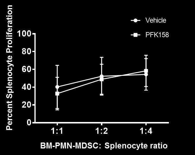 Figure 31. Bone marrow-derived PMN-MDSCs do not suppress CD8 T cell proliferation.