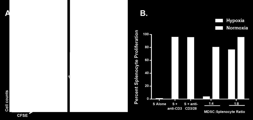 Figure 38. Splenic M-MDSCs cultured under hypoxic conditions result in antigen non-specific suppression of CD8 T cells.