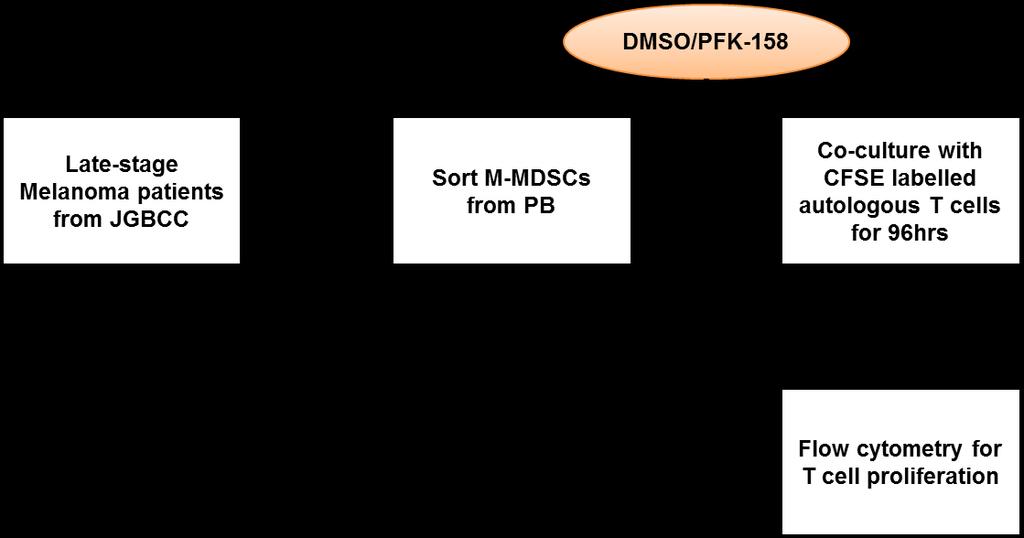 Figure 50. Schematic representation of the steps involved in isolating circulating M-MDSCs from late-stage melanoma patients.