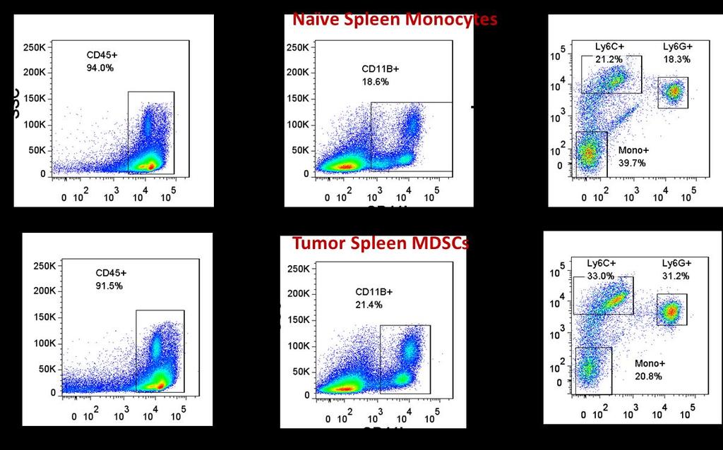 Figure 11. MDSC subsets differentially expanded in the spleens of tumorbearing mice compared with naïve mice.