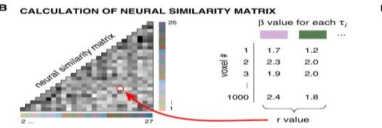 edu/aguirre/wiki/public:continuous_carry-over_for_bold_fmri