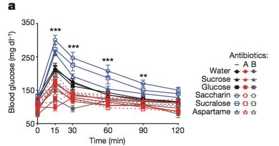 ARTIFICIAL SWEETENERS, GLUCOSE INTOLERANCE & GUT MICROBIOTA Study (lean mice) Given water sweetened with saccharin, sucralose, aspartame, sucrose or glucose (control: water) Compared glucose