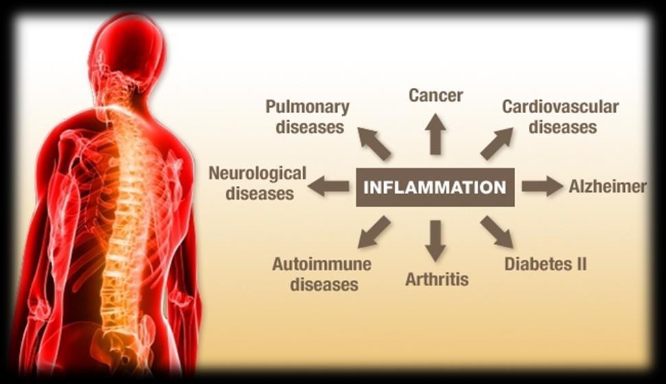 INFLAMMATION High-fat diet increases LPS and increases inflammation Decreased bacterial diversity and dysbiosis can