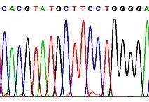 exon SNaPshot >160 hotspot mutations 15 cancer genes