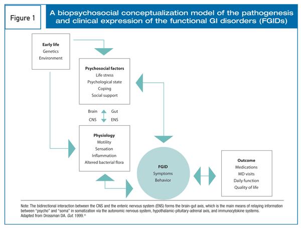 Biopsychosocial model of